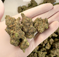 Apples & Bananas Wholesale THCa Flower