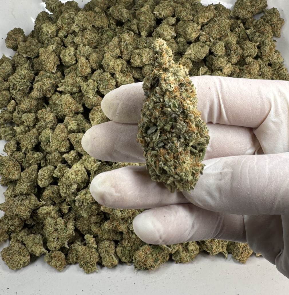 Orange Apricot MAC Wholesale THCa Flower