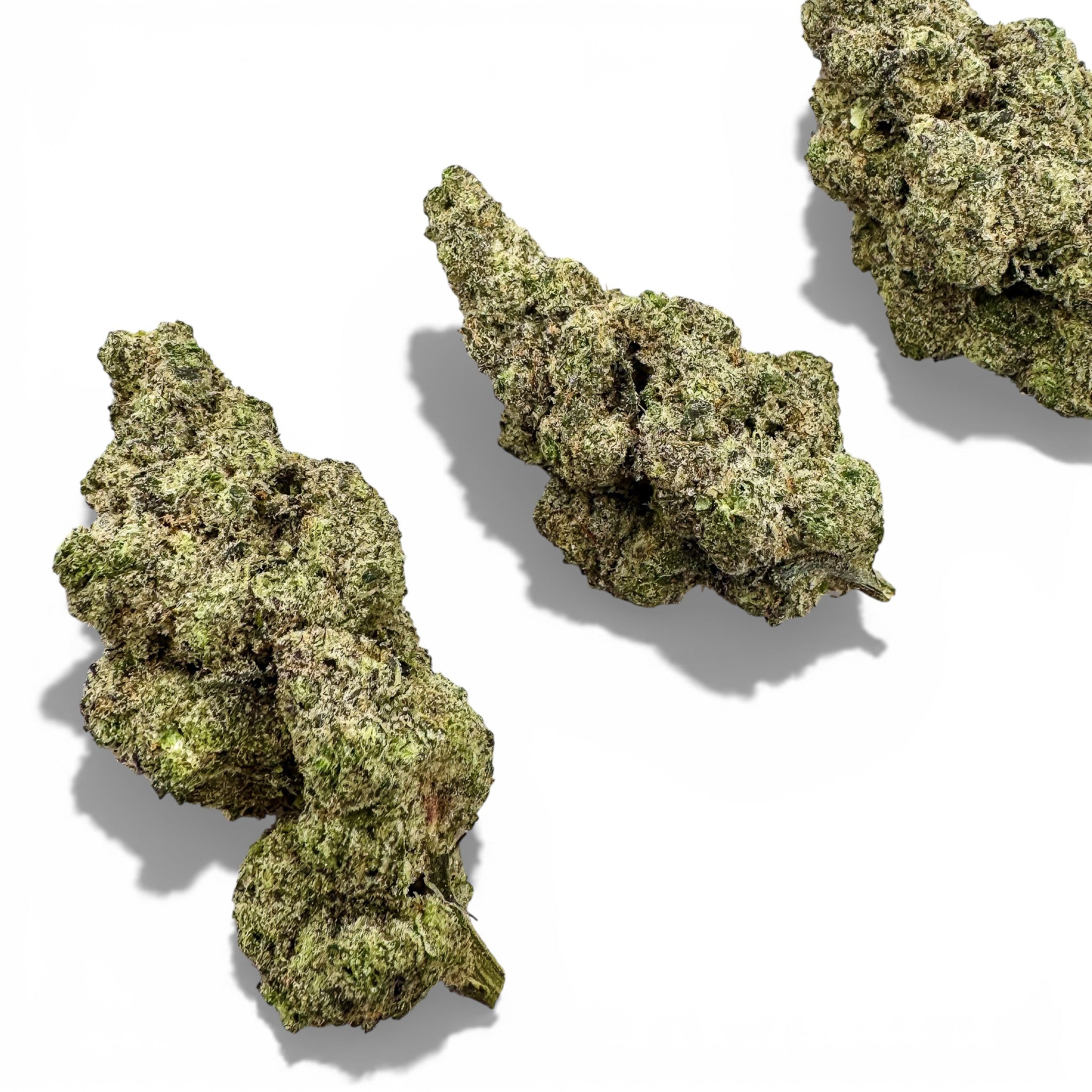 Sherbanger Wholesale THCa Flower