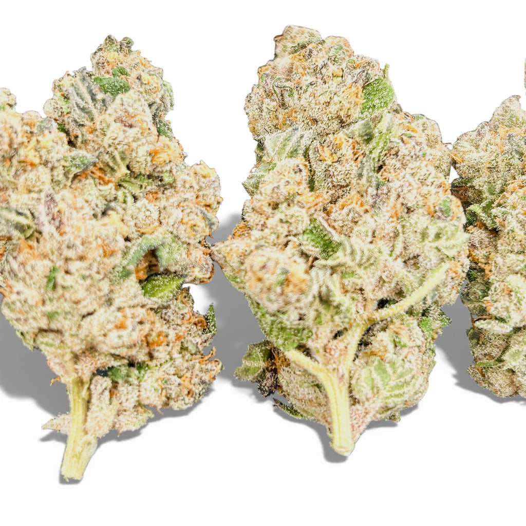Sugar Cane Wholesale THCa Flower