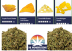 Shatter & Sugar Trim Farm Bundle (1g + 1oz)-$100!