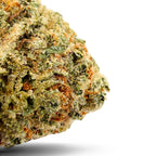 Dr. Wonderstone 24K Gold premium indoor THCa flower bud with dense green foliage, orange pistils, and trichomes.