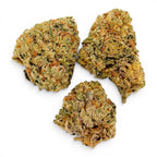 Dr. Wonderstone 24K Gold premium indoor THCa flower buds with dense green structure and vibrant orange pistils.