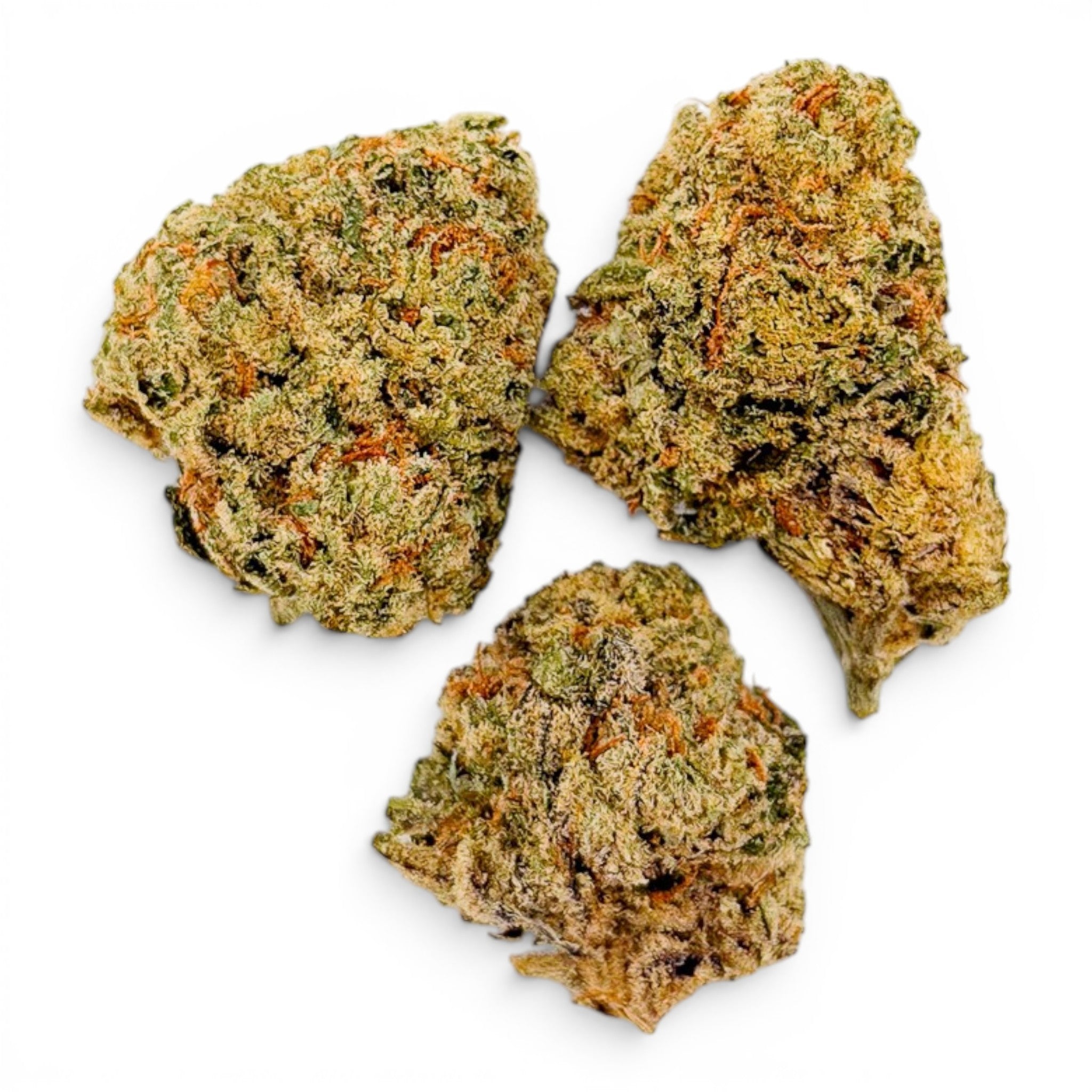 Dr. Wonderstone 24K Gold premium indoor THCa flower buds with dense green structure and vibrant orange pistils.