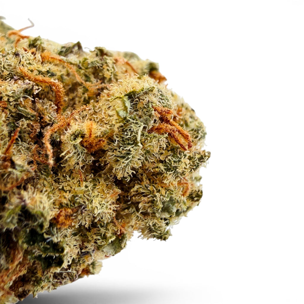 Dr. Wonderstone 24K Gold THCa flower featuring dense, resin-rich green buds with vibrant orange pistils and trichomes.