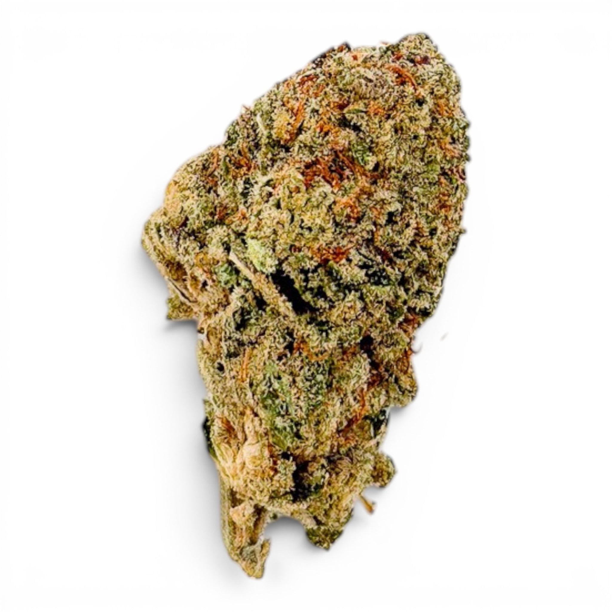 Dr. Wonderstone 24K Gold premium indoor THCa flower bud with bright green leaves and vibrant orange pistils.