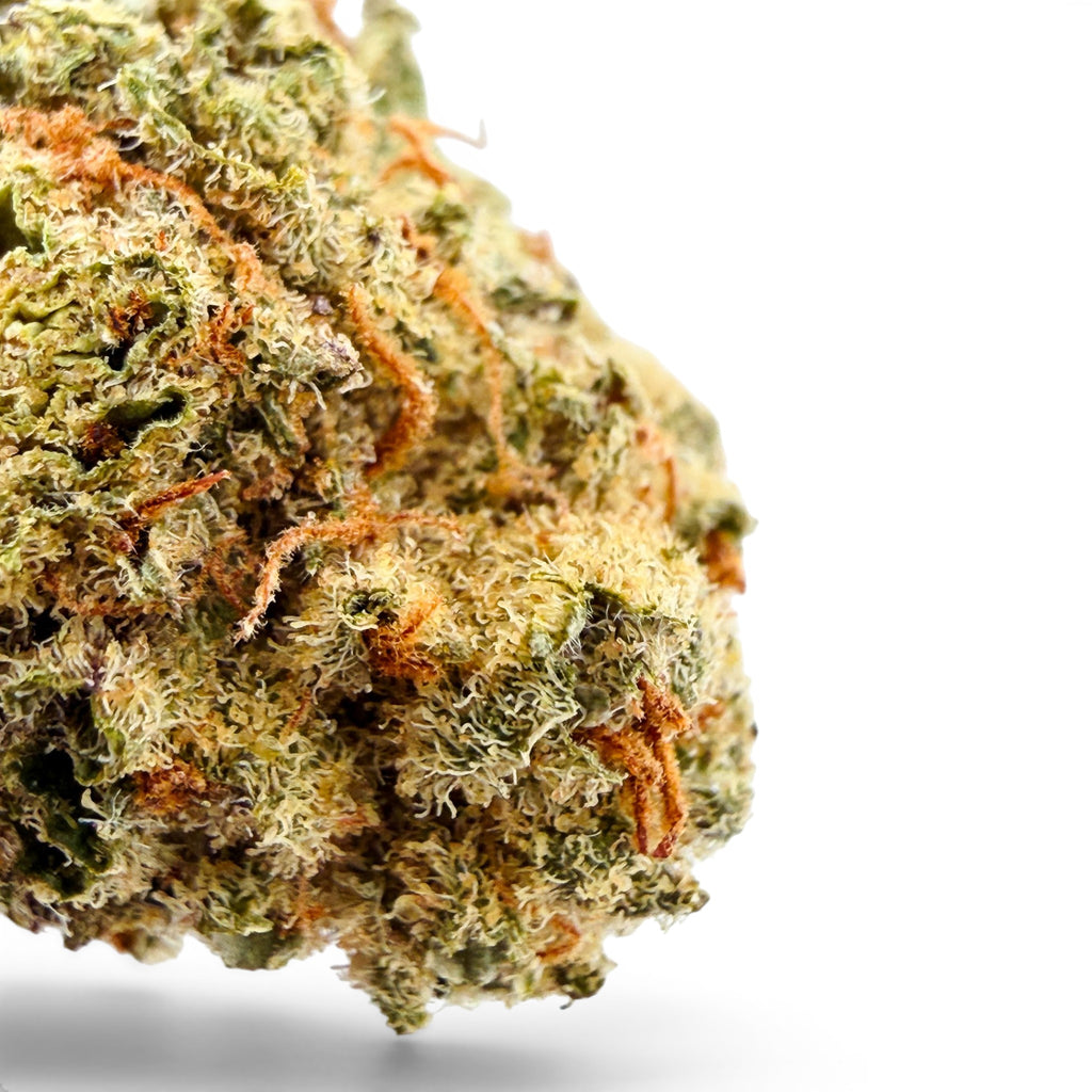 Dr. Wonderstone 24K Gold THCa flower featuring dense green buds with vibrant orange pistils and heavy trichome coverage.