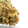 Dr. Wonderstone 24K Gold THCa flower featuring dense green buds with vibrant orange pistils and heavy trichome coverage.