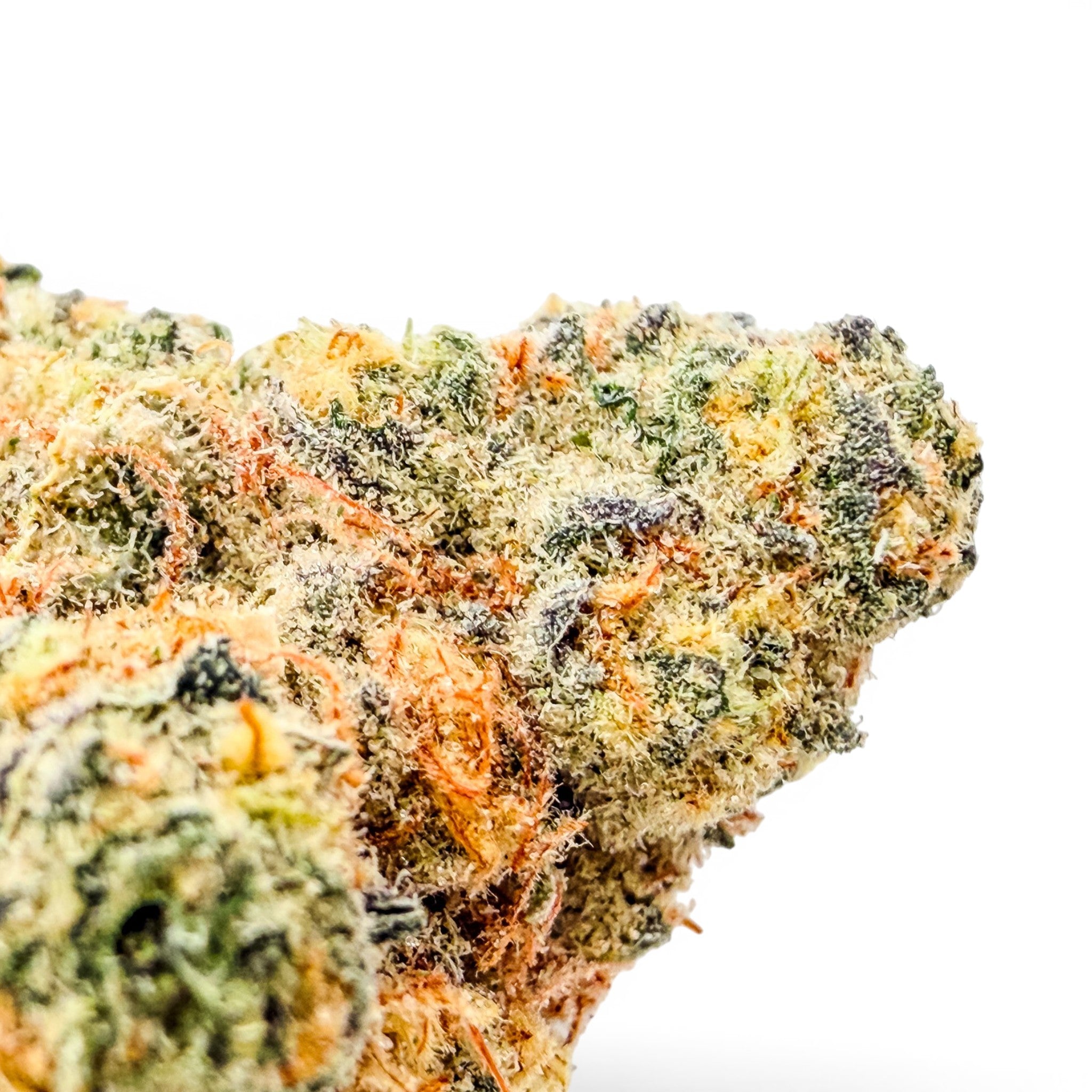 Dr. Wonderstone Blueberry Pancakes premium THCa flower bud with dense green, purple, and orange trichome-rich texture.