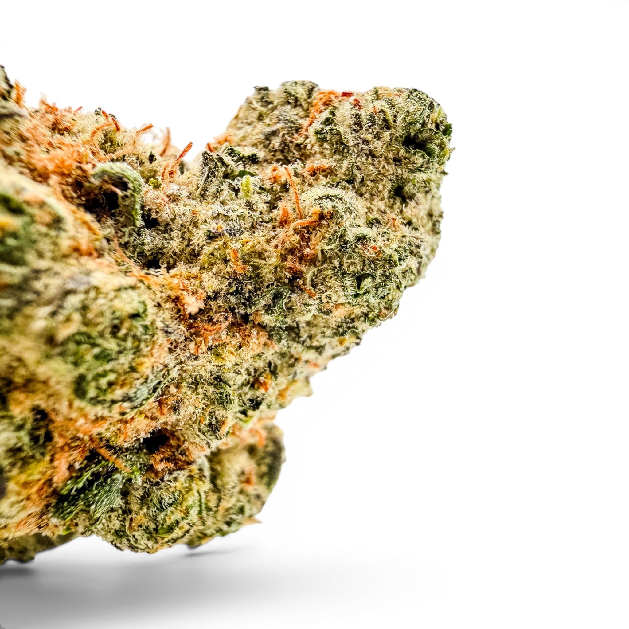 Dr. Wonderstone Blueberry Pancakes premium THCa flower bud with dense green foliage and orange pistils