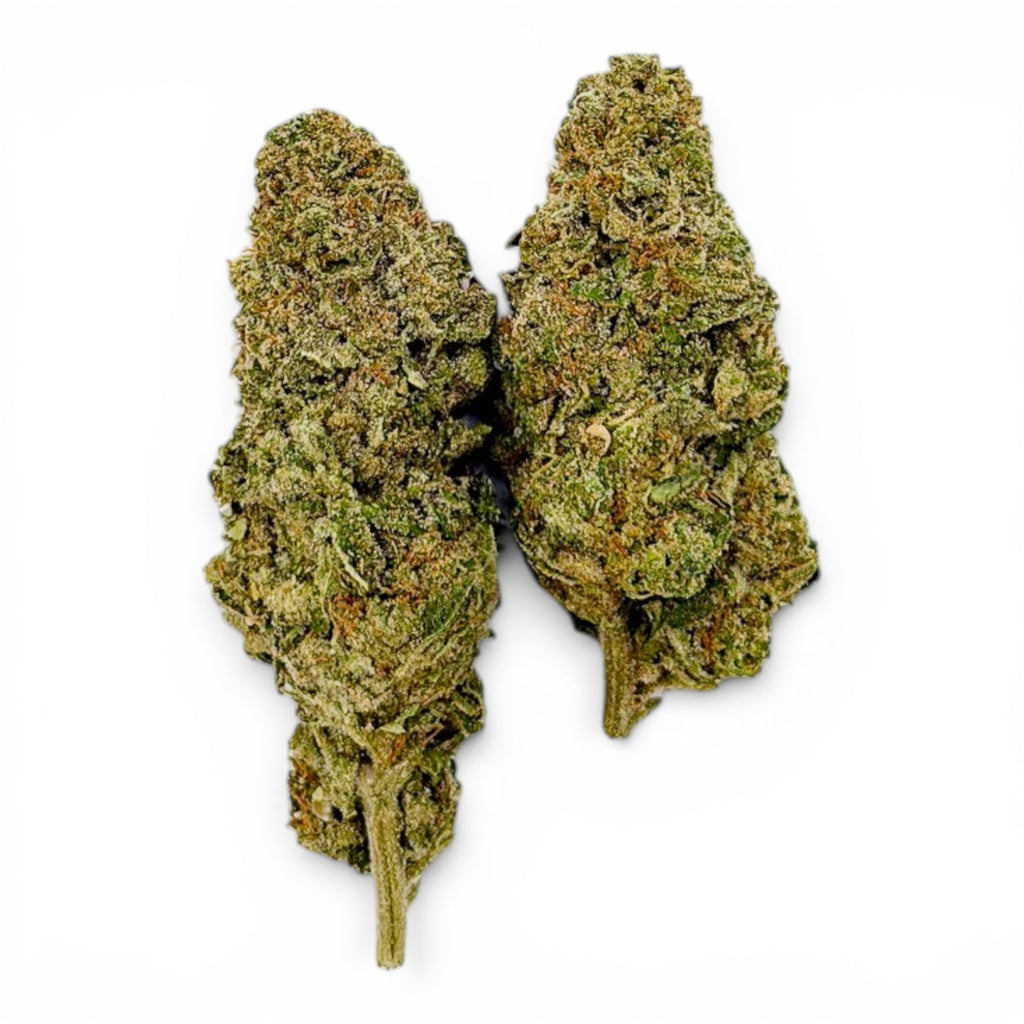 Dr. Wonderstone Bubble Gum premium indoor THCa flower buds with dense green structure and orange pistils.