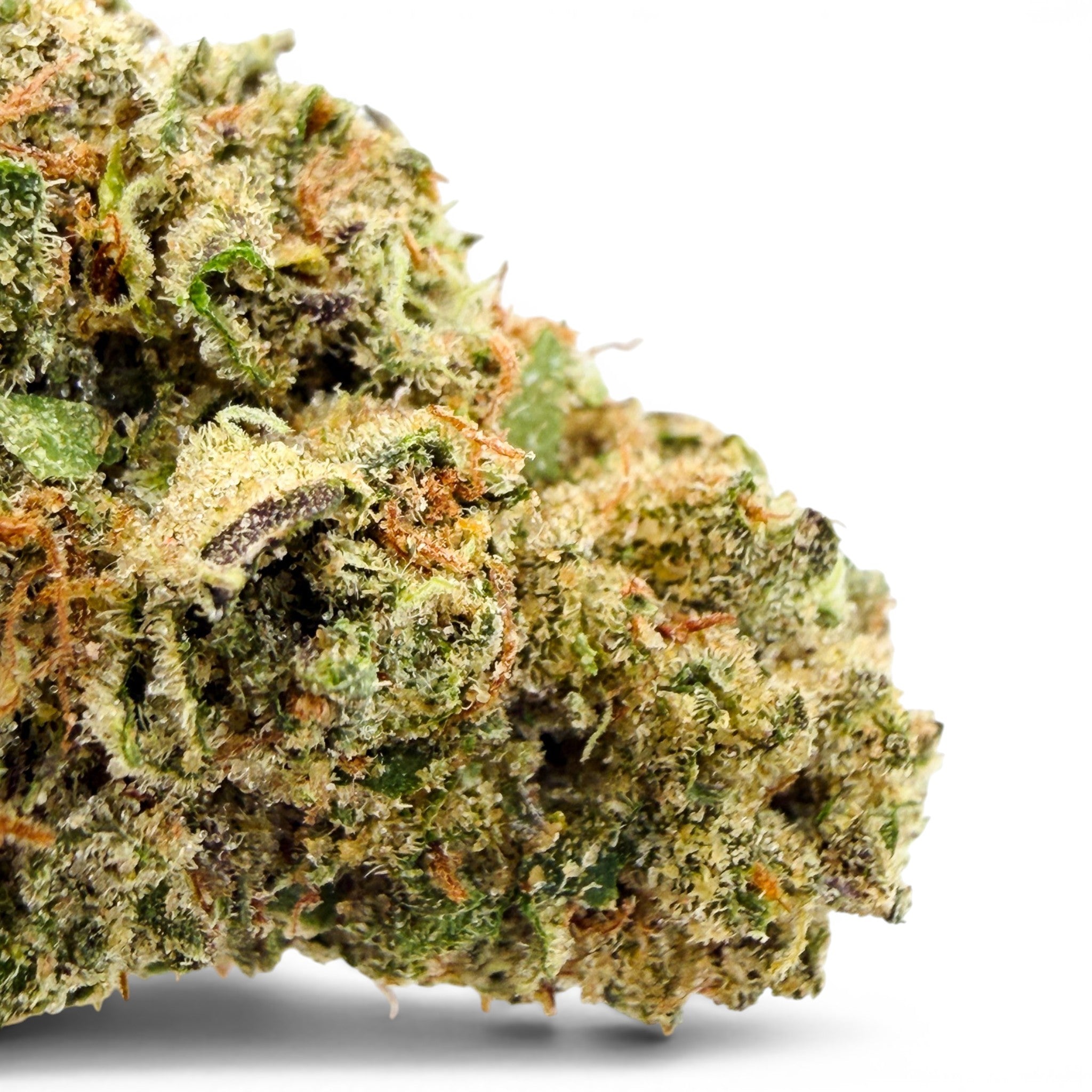 dr-wonderstone-bubble-gum-thca