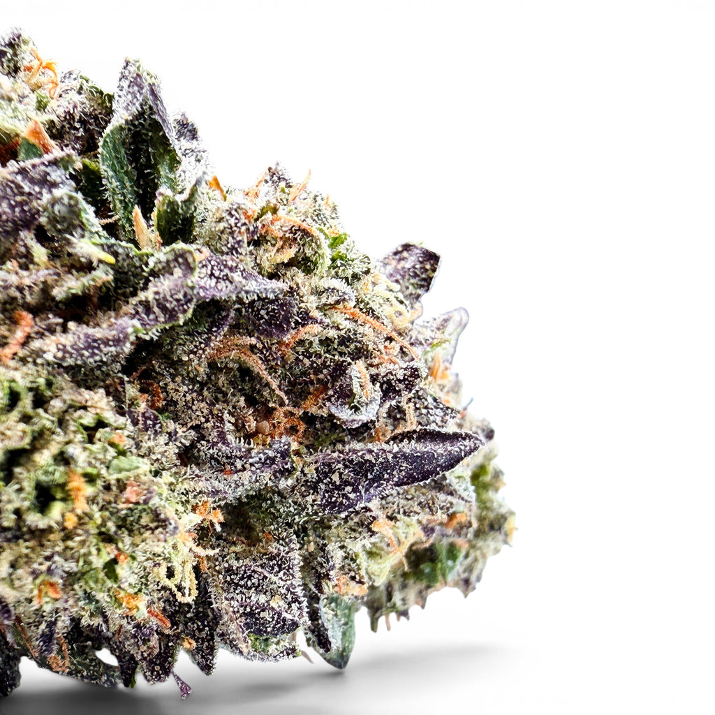 Dr. Wonderstone Cosmic Runtz indoor THCa flower bud with deep purple hues, green leaves, and orange pistils. Buy bulk Cannabis Flower for your retail store.