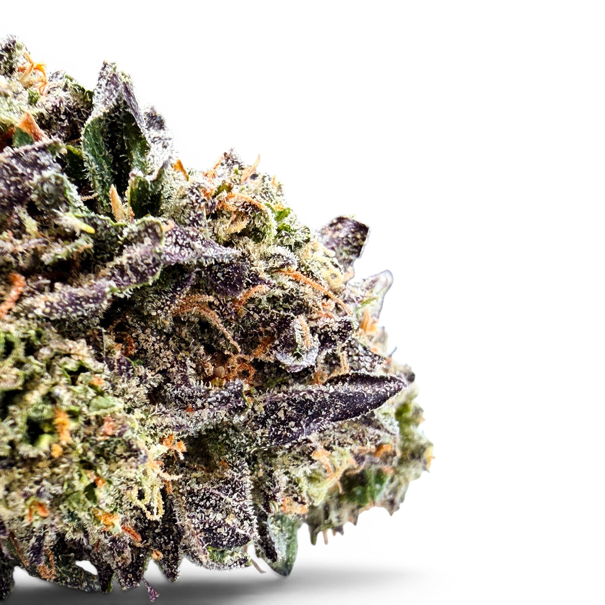 Dr. Wonderstone Cosmic Runtz indoor THCa flower with dense, trichome-covered purple and green buds.
