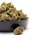 Dr. Wonderstone Cosmic Runtz premium indoor THCa flower in a black bowl, showing dense green and purple resin-rich buds.