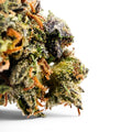 Dr. Wonderstone Dante's Inferno premium THCa flower bud with deep purple hues, green leaves, and orange pistils.