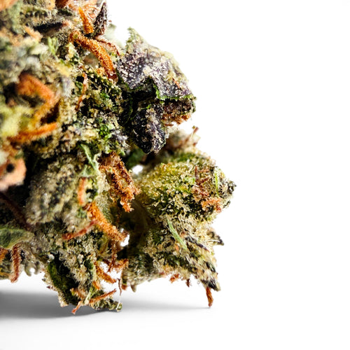 Dr. Wonderstone Dante's Inferno premium THCa flower bud with deep purple hues, green leaves, and orange pistils.