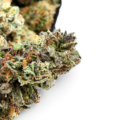 Dr. Wonderstone Dante's Inferno premium THCa flower bud with vibrant green, purple hues, and orange pistils.