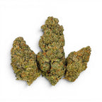 Dr. Wonderstone Elektra Ice THCa flower buds with dense green foliage and orange pistils on a white background.