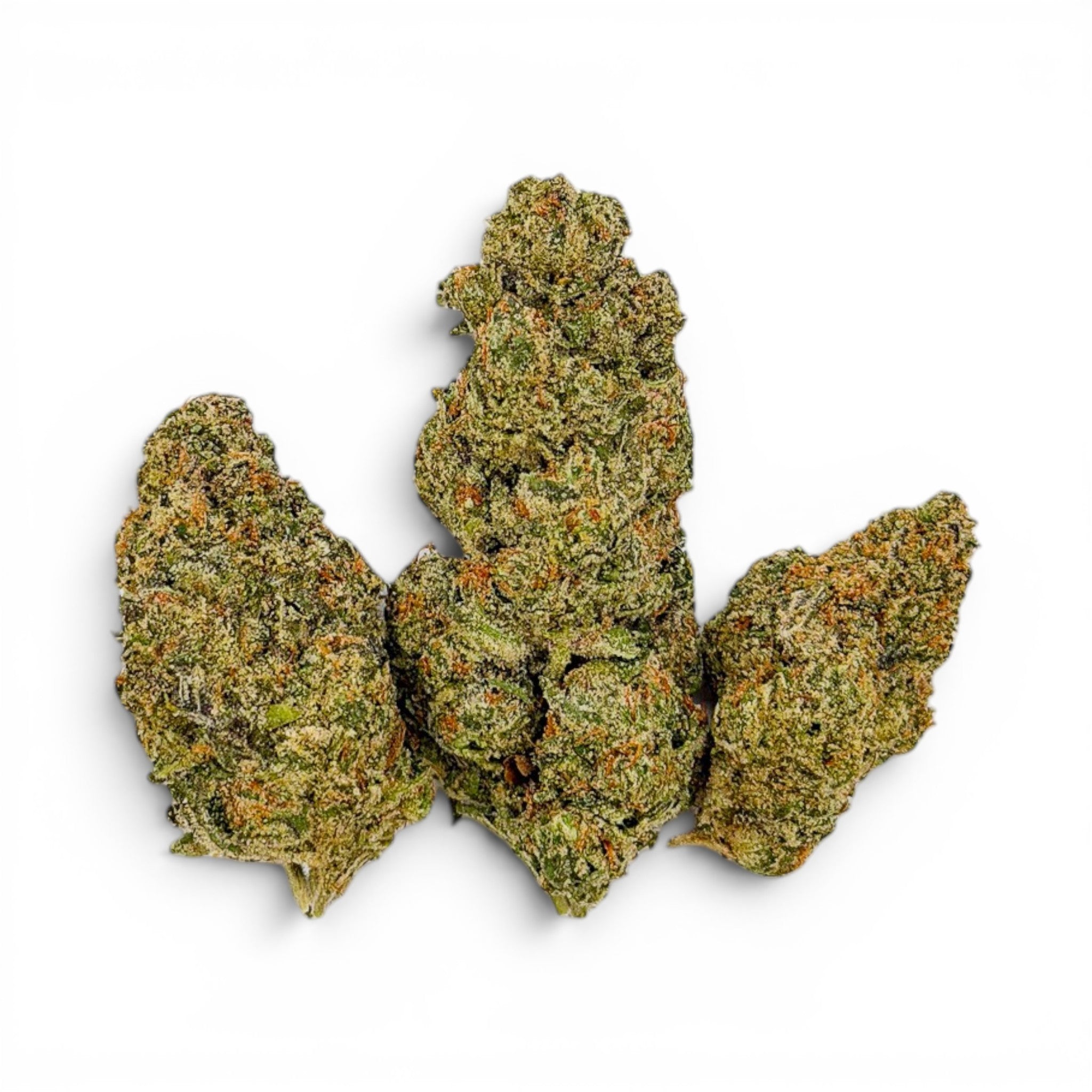 Dr. Wonderstone Elektra Ice THCa flower buds with dense green foliage and orange pistils on a white background.