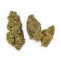 Dr. Wonderstone Elektra Ice THCa flower buds with frosty green leaves and orange pistils on a white background.