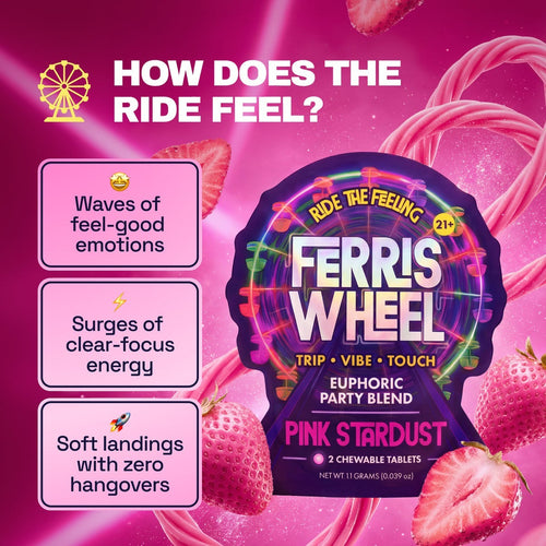 Dr. Wonderstone Ferris Wheel pink lemonade euphoric party blend chewable tablets in a 2ct pouch with strawberry art.