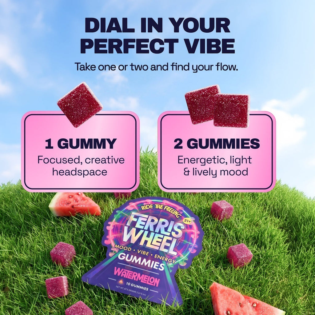 Dr. Wonderstone Ferris Wheel watermelon mood gummies on green grass with dosage guide for focus and energy