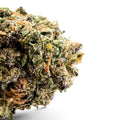 Dr. Wonderstone Gelato Fuel premium THCa flower bud with dense purple and green trichome-covered leaves. Buy Cheap THCa Flower Online