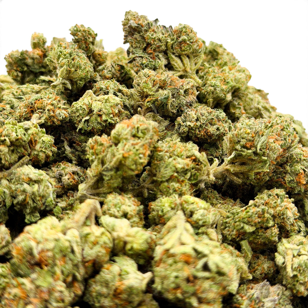 Dr. Wonderstone Gelato Fuel premium THCa flower buds with vibrant green leaves and orange pistils. Buy Cheap THCa Flower Online