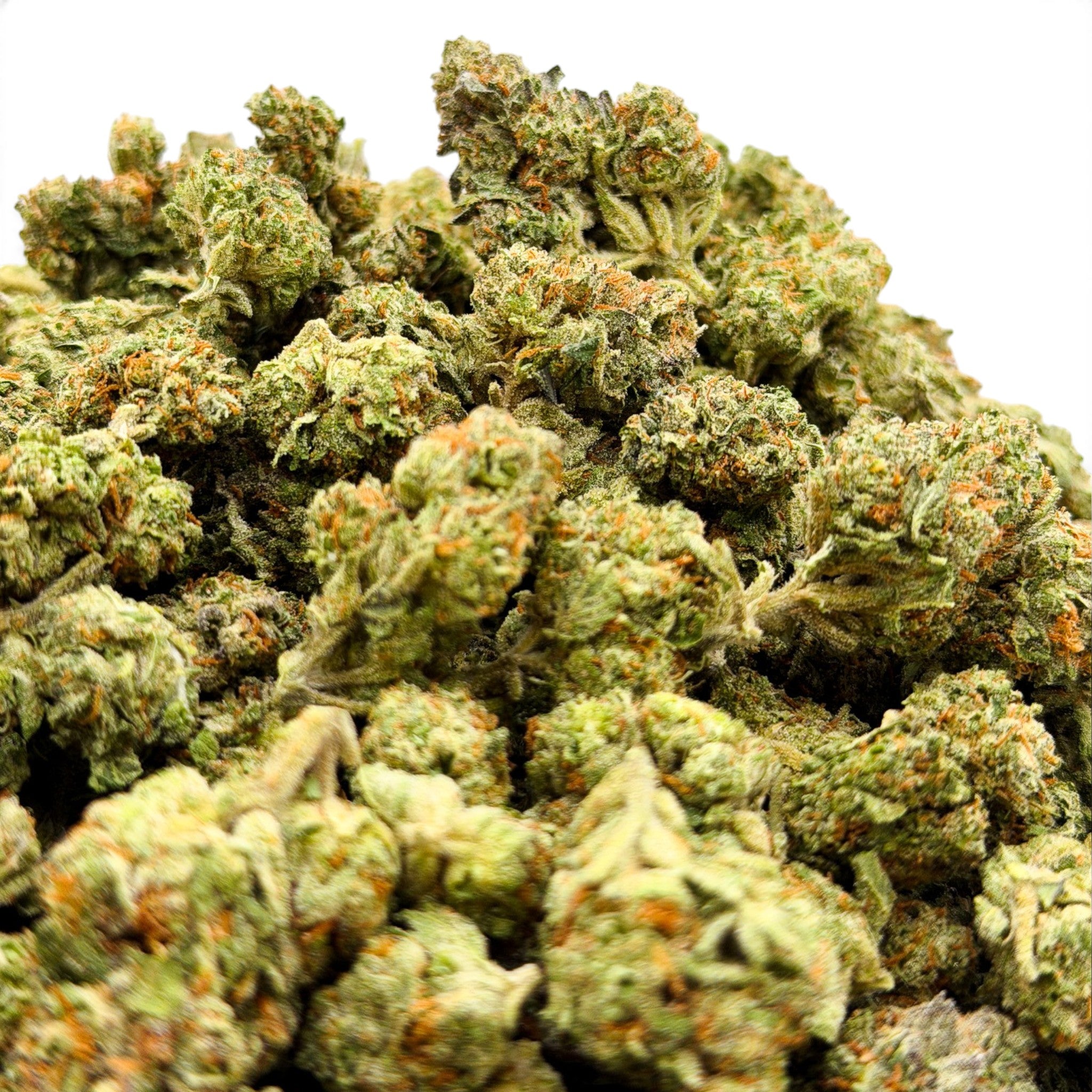 Dr. Wonderstone Gelato Fuel premium THCa flower buds with vibrant green leaves and orange pistils. Buy Cheap THCa Flower Online