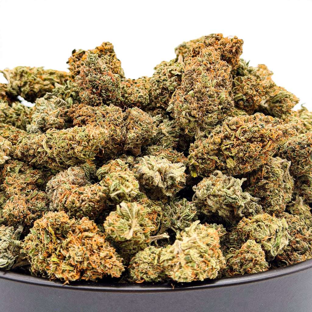 Dr. Wonderstone Goat Gas premium THCa flower buds with dense green foliage and vibrant orange pistils in a bowl.