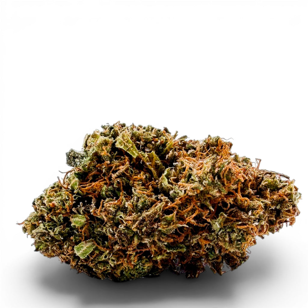 Dr. Wonderstone Goat Gas premium THCa flower bud with dense green foliage and vibrant orange pistils.