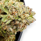 Dr. Wonderstone Hash Burger premium indoor THCa flower with dense, resin-rich green buds and heavy trichome coverage.  Buy THCa flower online