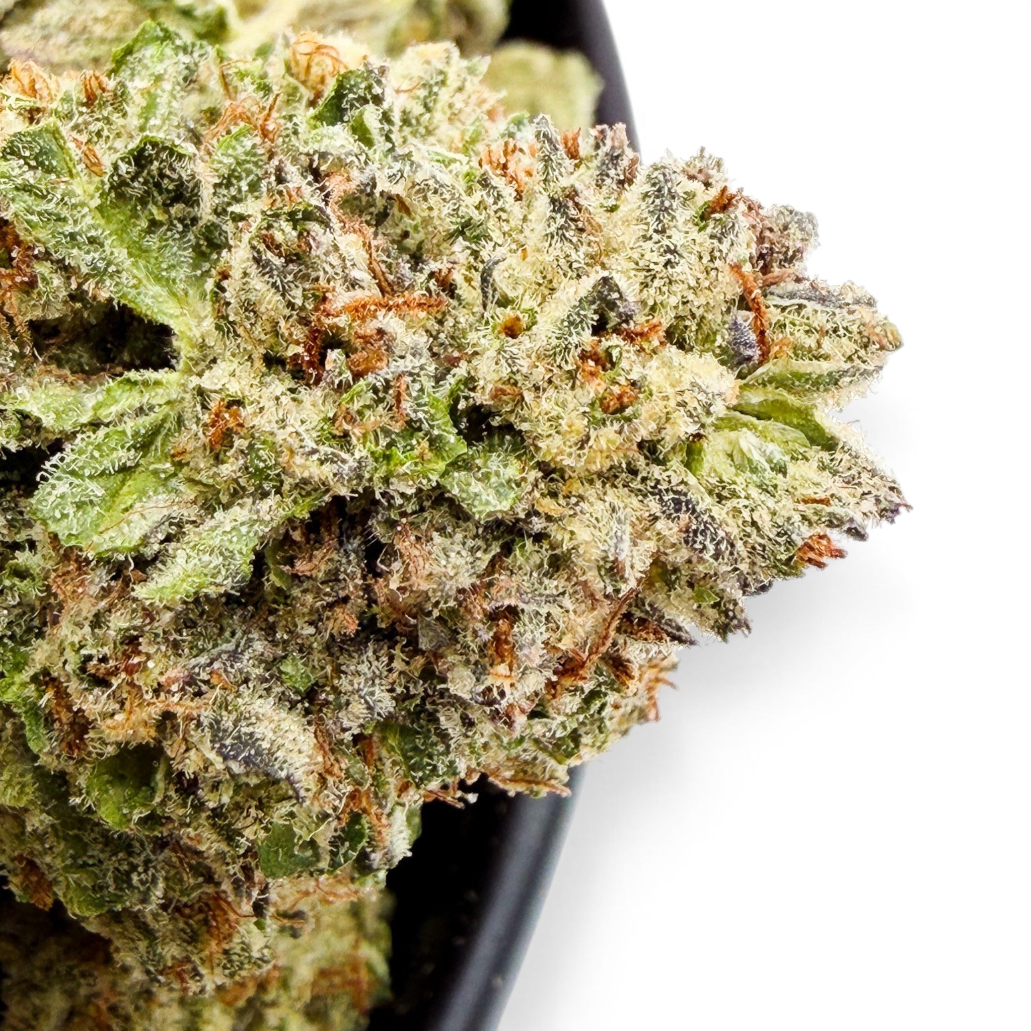 Dr. Wonderstone Hash Burger premium indoor THCa flower with dense, resin-rich green buds and heavy trichome coverage.  Buy THCa flower online