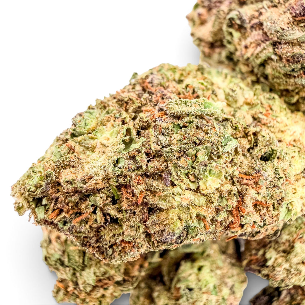 Dr. Wonderstone Ice Cream Cake THCa flower buds with dense green and purple leaves, orange pistils, and frosty trichomes.
