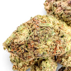 Dr. Wonderstone Ice Cream Cake THCa flower buds with dense green and purple leaves, orange pistils, and frosty trichomes.