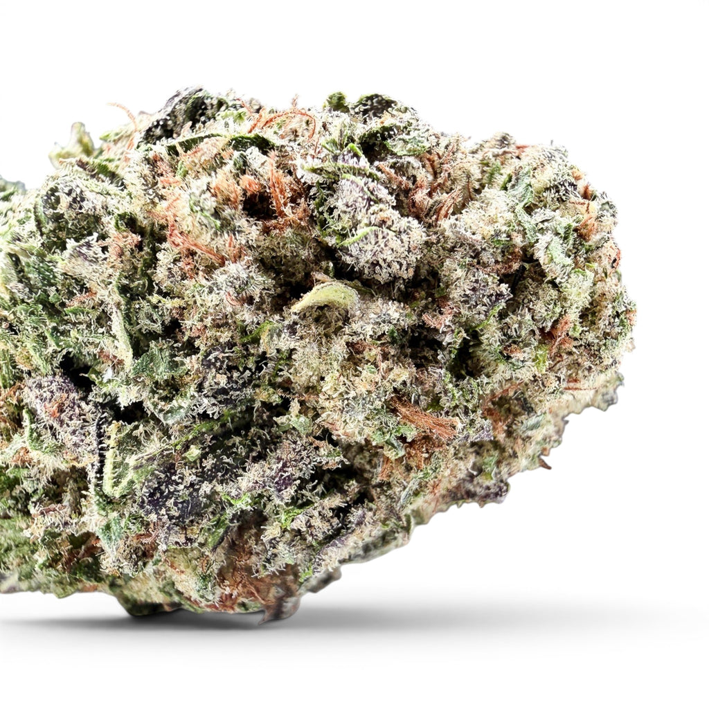 Dr. Wonderstone Illuminati indoor THCa flower bud with purple and green hues covered in frosty white trichomes.