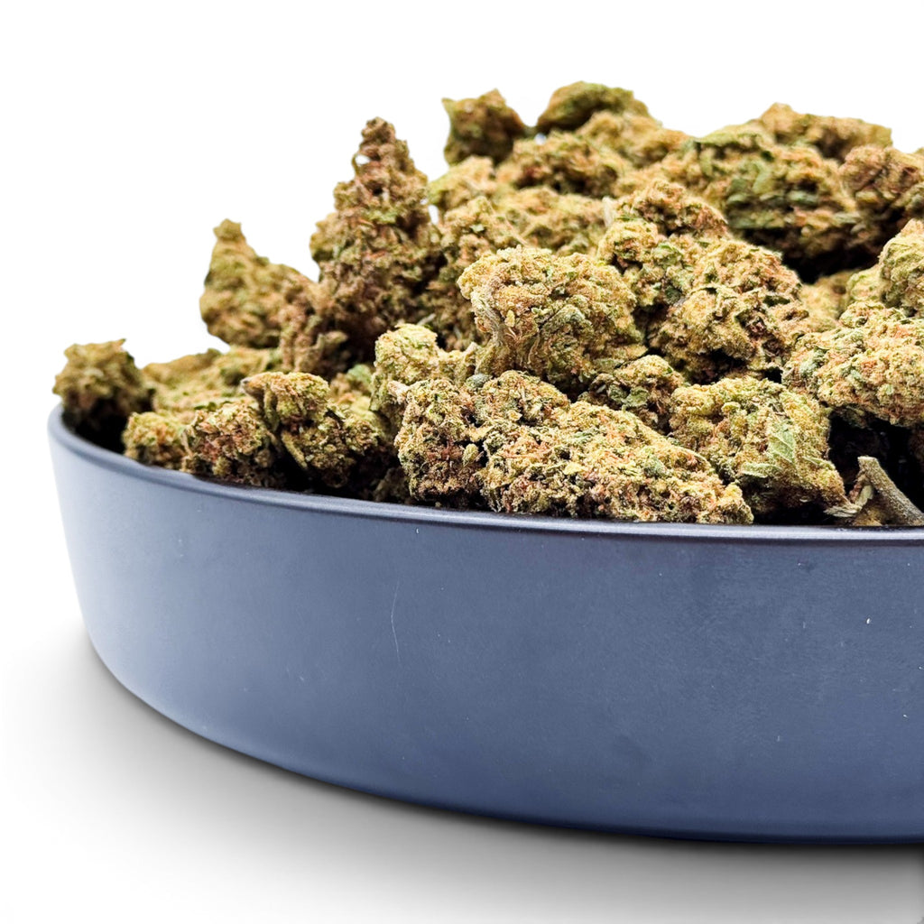 Dr. Wonderstone Jack Herer THCa flower buds in a dark bowl, featuring bright green leaves and orange pistils.