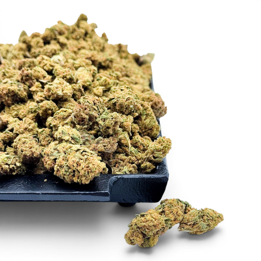 Dr. Wonderstone Jack Herer THCa flower featuring dense, bright green buds with orange pistils and visible resin.