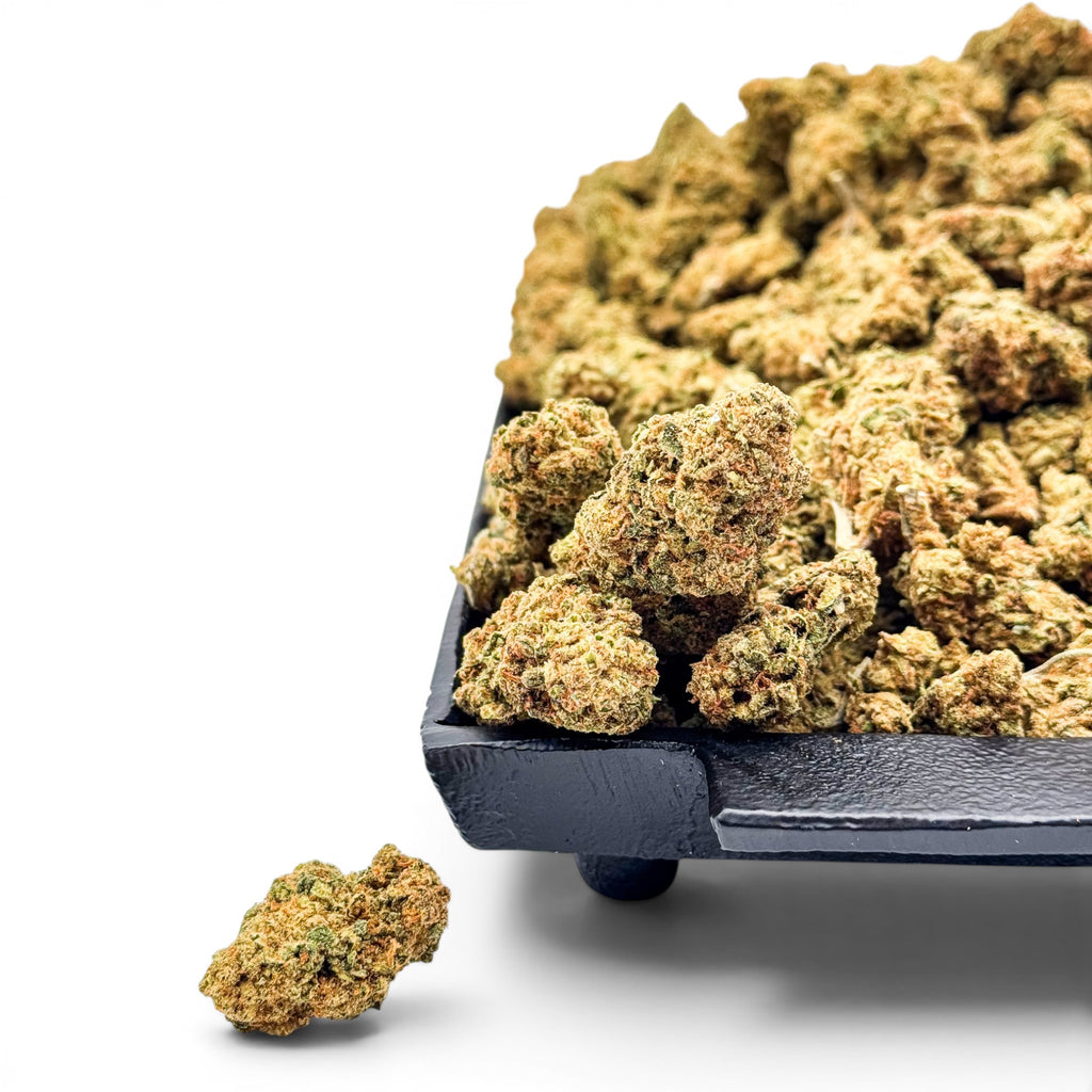Dr. Wonderstone Jack Herer THCa flower buds with bright green leaves, orange pistils, and visible resin on a black tray.