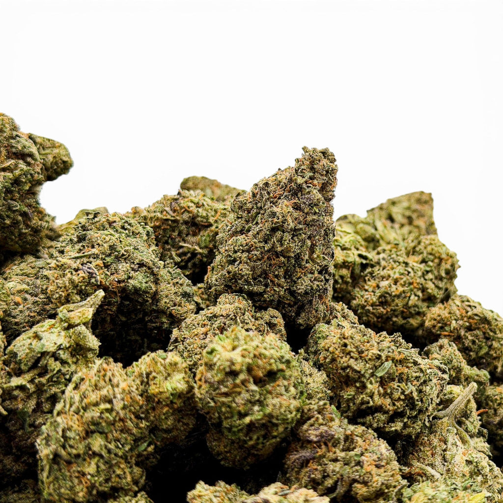 Buy THCa Flower Online with Dr. Wonderstone Jet Fuel Gelato premium THCa flower buds with dense green foliage and orange pistils.