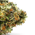 Dr. Wonderstone Lemon Fuel premium THCa flower bud with vibrant green, purple hues, and orange pistils.