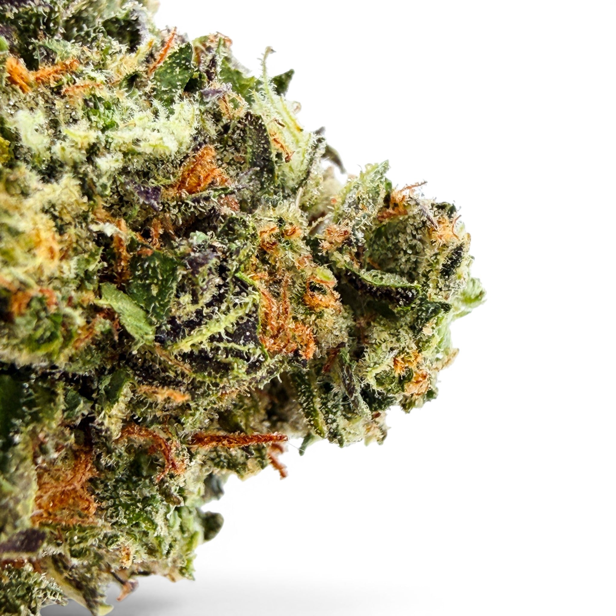Dr. Wonderstone Lemon Fuel premium THCa flower bud with vibrant green, purple hues, and orange pistils.