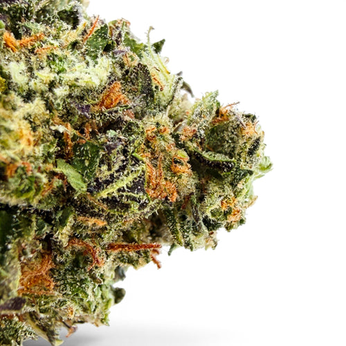 Dr. Wonderstone Lemon Fuel premium THCa flower bud with vibrant green, purple hues, and orange pistils.