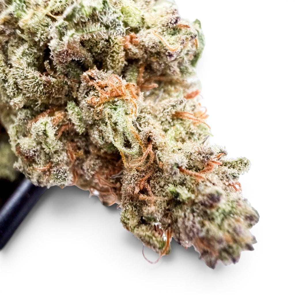 Dr. Wonderstone MAC-1 hybrid THCa flower featuring frosty, resin-dense green buds with orange pistils.