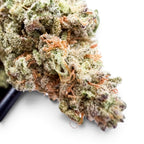 Dr. Wonderstone MAC-1 hybrid THCa flower featuring frosty, resin-dense green buds with orange pistils.