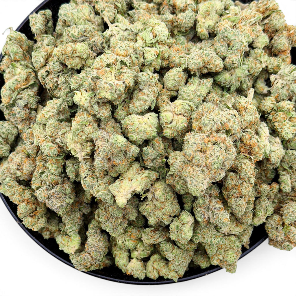Dr. Wonderstone Modified Grapes THCa flower featuring dense, resinous green buds with purple hues and orange pistils.