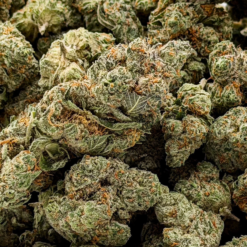 Dr. Wonderstone Modified Grapes THCa flower buds with dense green texture, purple hues, and orange pistils.
