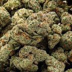 Dr. Wonderstone Modified Grapes THCa flower buds with dense green texture, purple hues, and orange pistils.