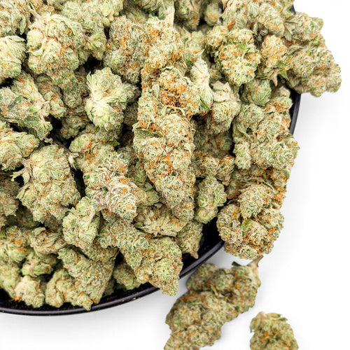 Dr. Wonderstone Modified Grapes THCa flower buds with dense green and purple hues, resinous texture, and orange pistils.